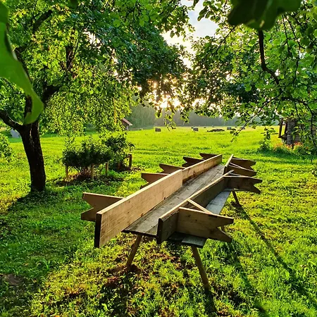 Zemnieku Saimnieciba Paldazi Camping